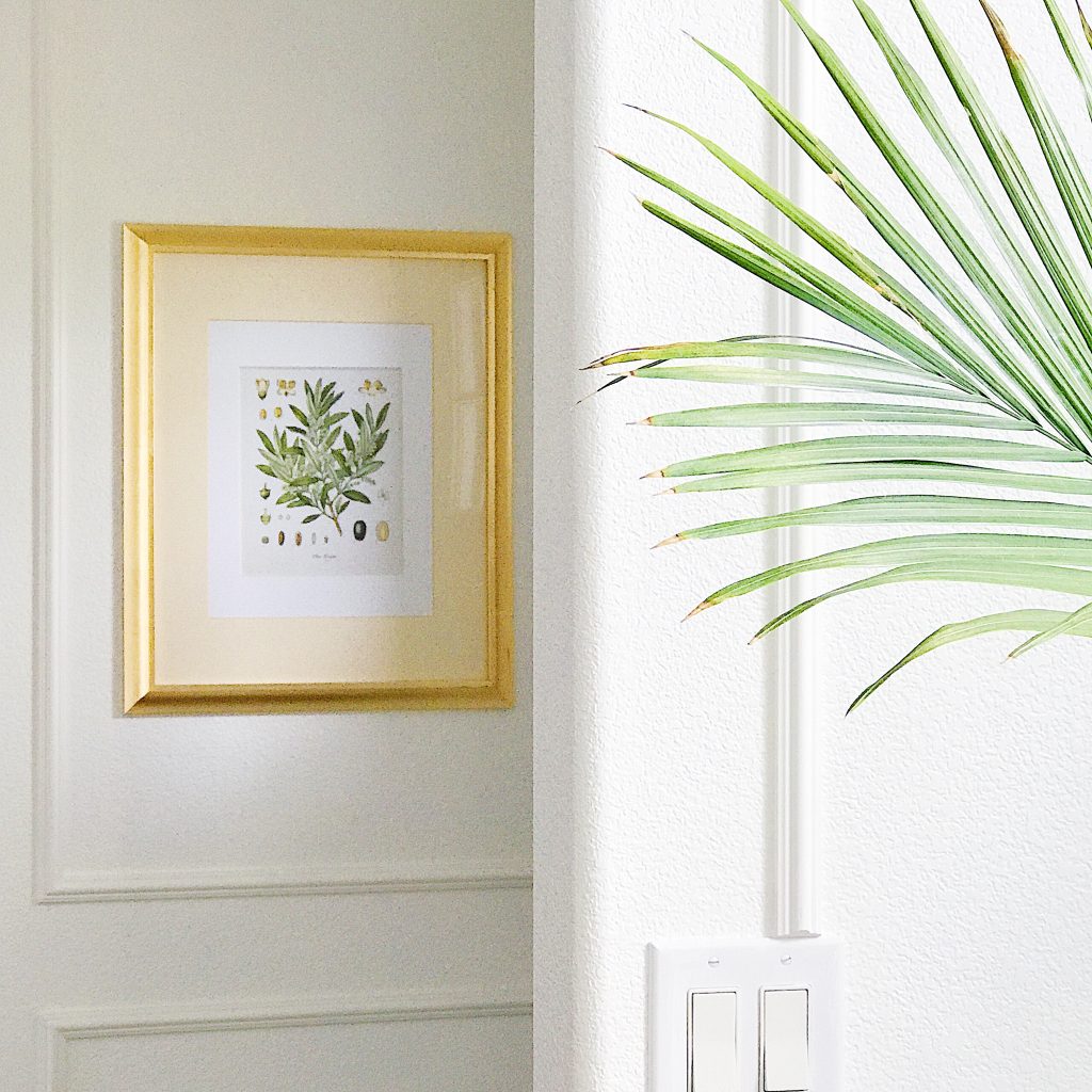 Transform Your Home with Picture Frame Molding (aka Panel Molding)